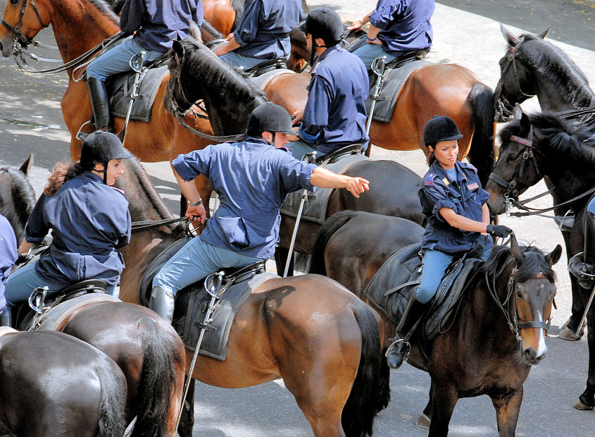 Xilocopa e ancora polizia a cavallo